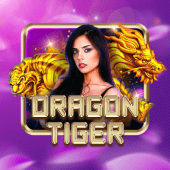 Dragon Tiger on OKBet App